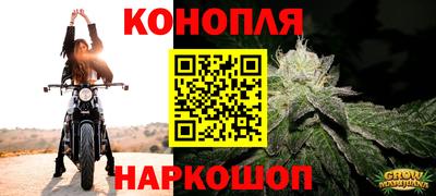 прущие крисы Славянск-на-Кубани